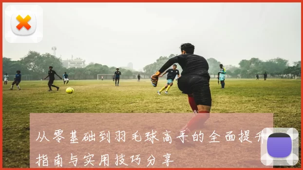 从零基础到羽毛球高手的全面提升指南与实用技巧分享