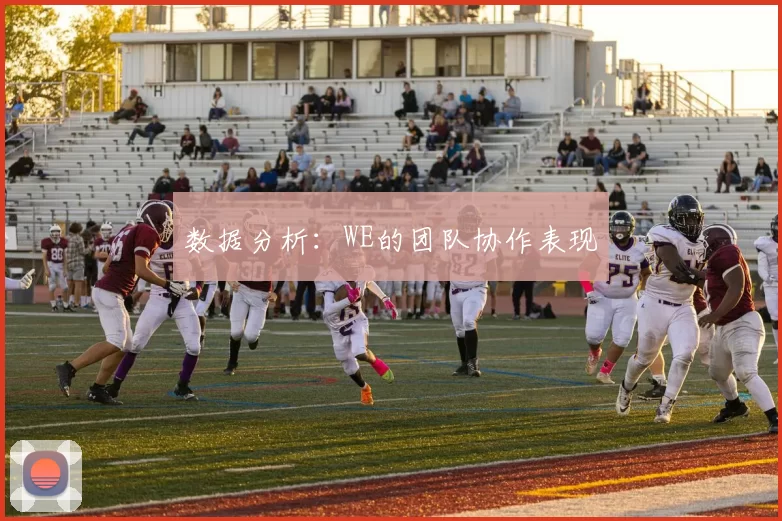 数据分析：WE的团队协作表现