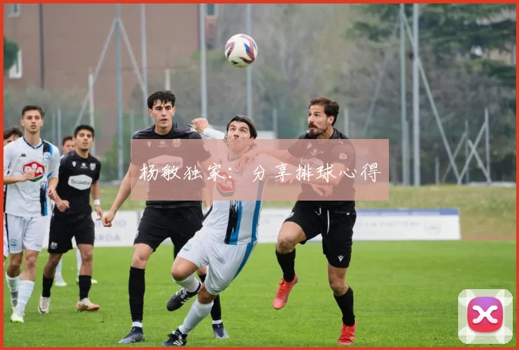 杨敏独家：分享排球心得