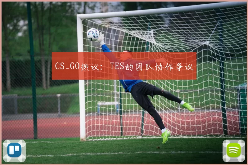 CS_GO热议：TES的团队协作争议