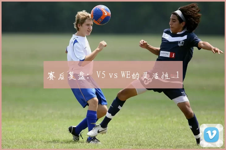 赛后复盘：V5 vs WE的灵活性_1