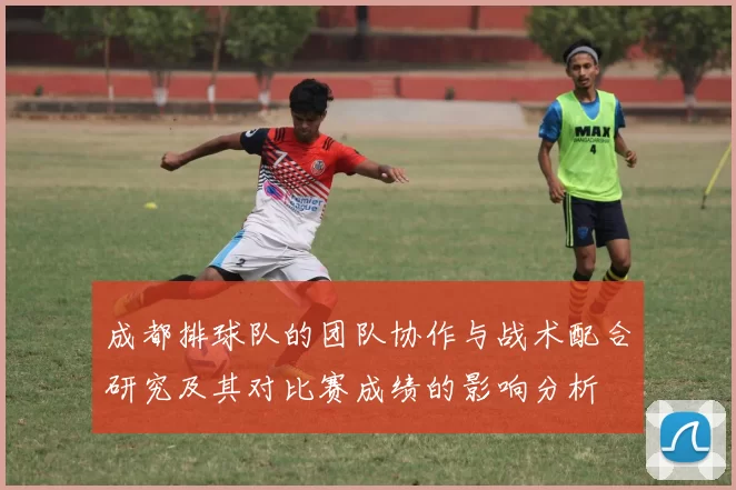 成都排球队的团队协作与战术配合研究及其对比赛成绩的影响分析