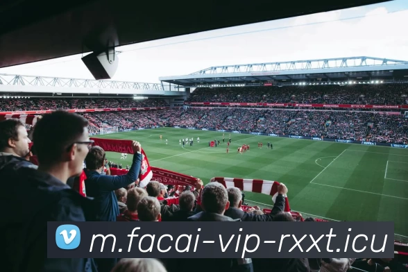 爱游戏体育注册发展历程